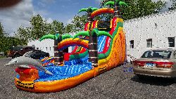 16FT Tropical Dolphin Water Slide  (29x11x16)